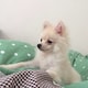 ☆ｒａｉｋｉ☆のアイコン