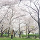 morikoのアイコン