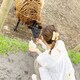 87のアイコン