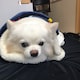 yoshikiのアイコン
