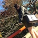 mokaのアイコン