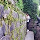 Wy芃のアイコン