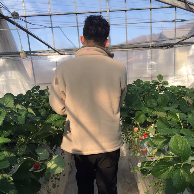 英晴