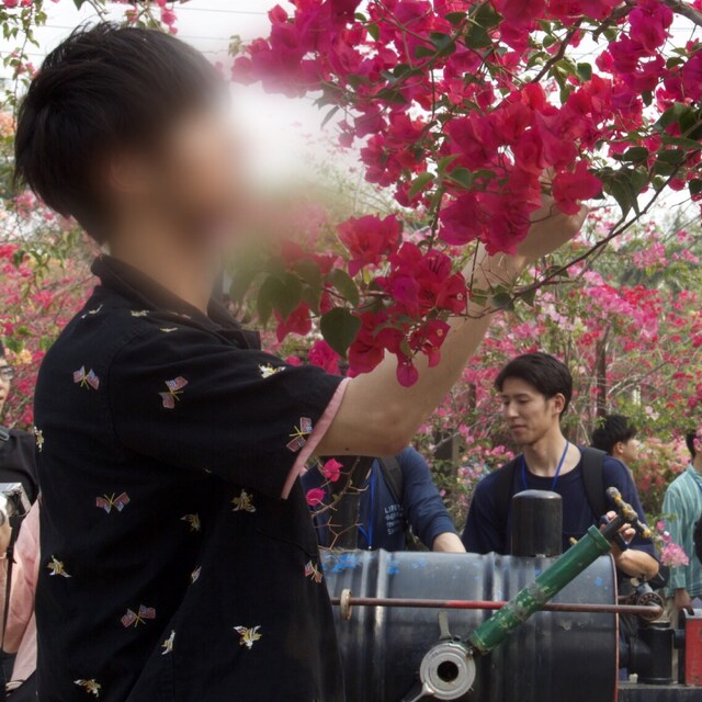 とら