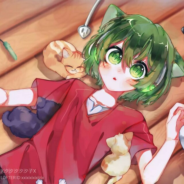 風尋喵