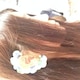 yuki○＊○のアイコン