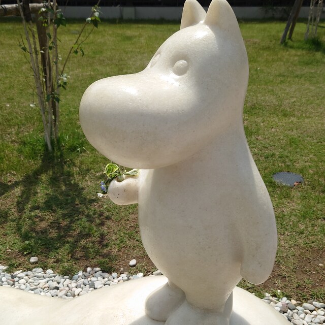抹茶