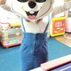 彩加のアイコン