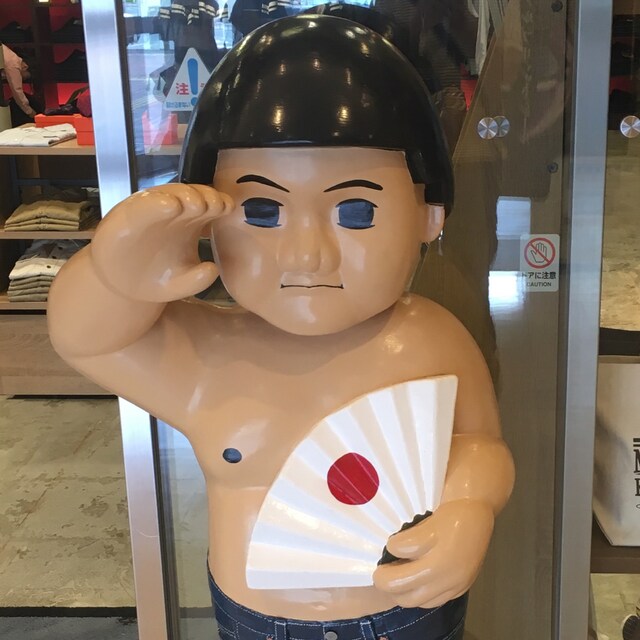 Hide
