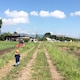harutaroのアイコン
