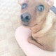 ぶっかけらーめんちゃんのアイコン