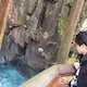 てるのアイコン