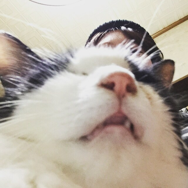 ま