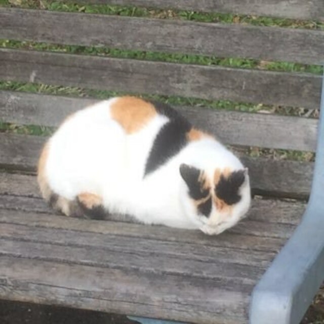 はな
