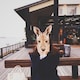 aitamaoのアイコン