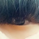 た い きのアイコン