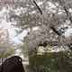 mi_aiのアイコン