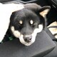 みちのアイコン