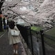 はなのアイコン