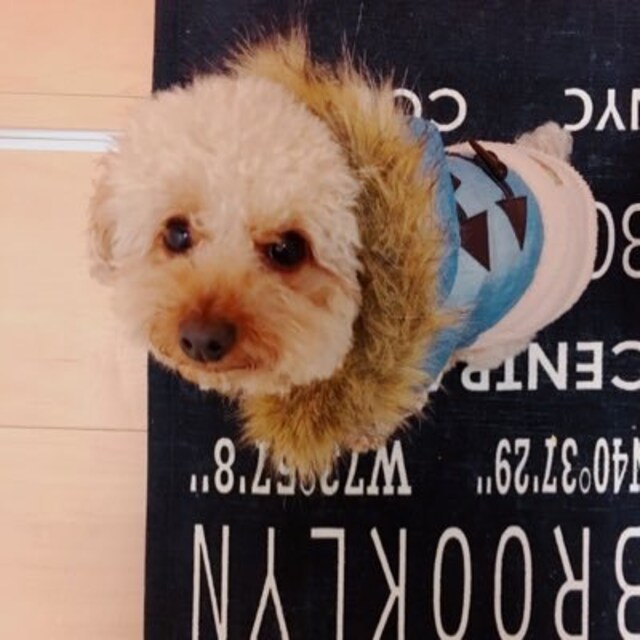 ayaka⑅◡̈*♡