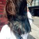 CHENのアイコン