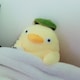 fのアイコン