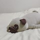 ＹＵＫＩ のアイコン