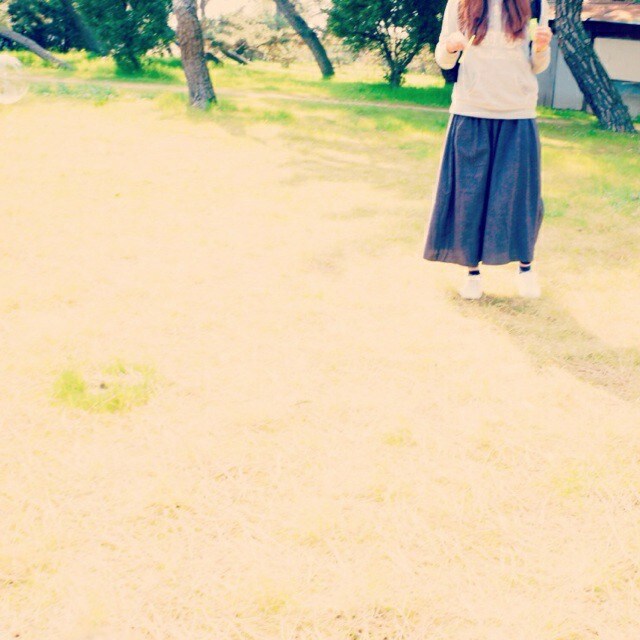 hachi.