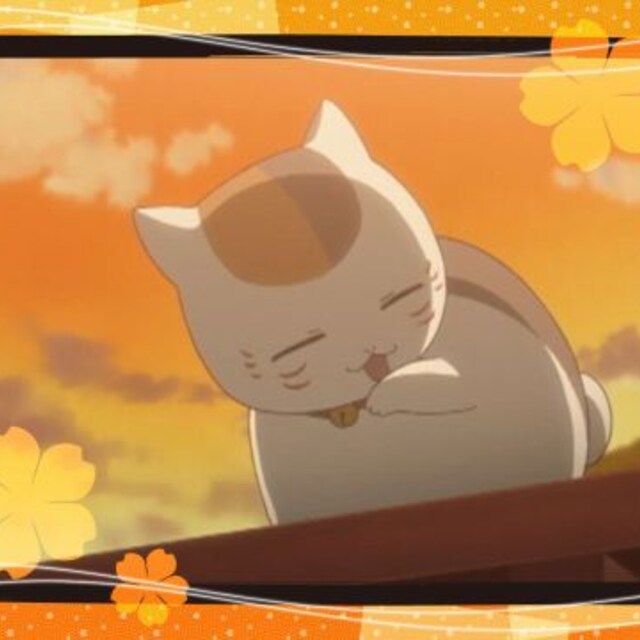 家猫