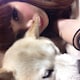 ☺︎Sakotan☺︎のアイコン