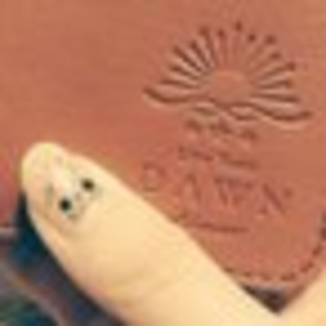 なち@Aimer