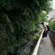 achanpuqのアイコン