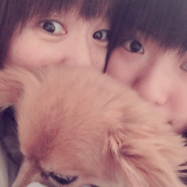 chibi