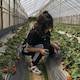 いしんのアイコン