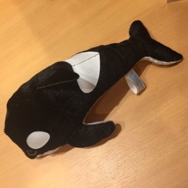 コタロー(・ε・｀)