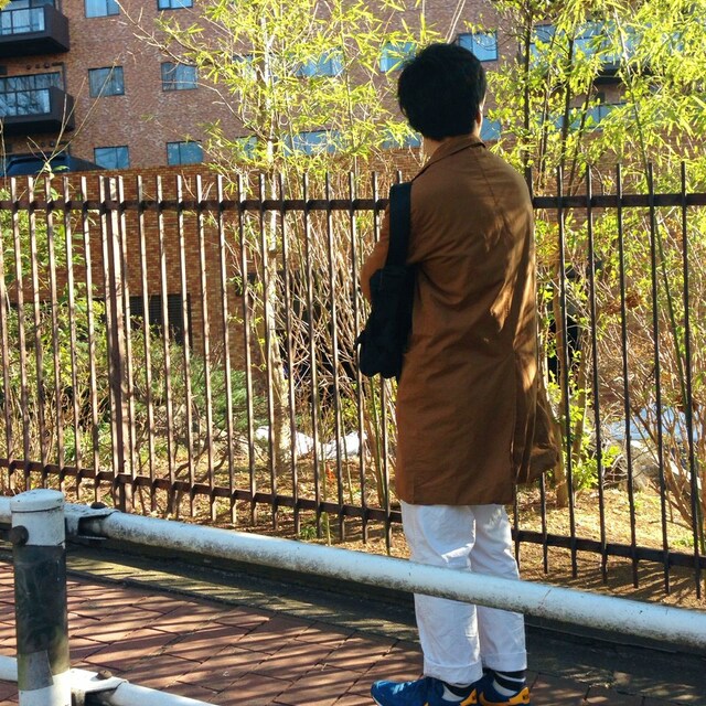 ちーぷ