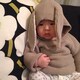 ハチメッコのアイコン