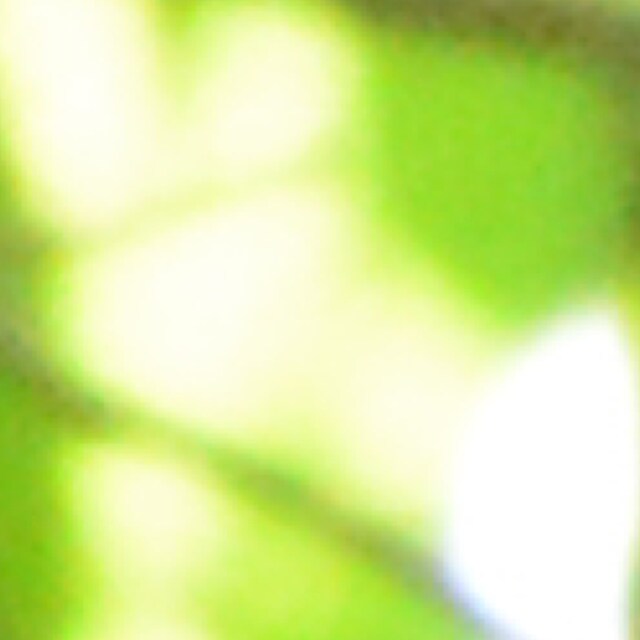 こどじ
