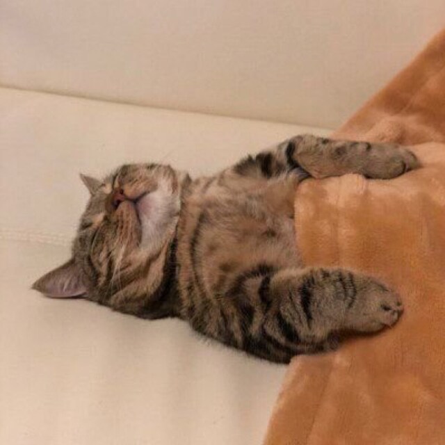 あ や か