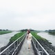 Phoebe Leeのアイコン