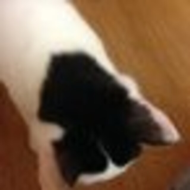 creepupu