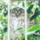 よくねるのアイコン