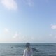 gaie yang のアイコン