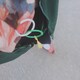 haotoのアイコン
