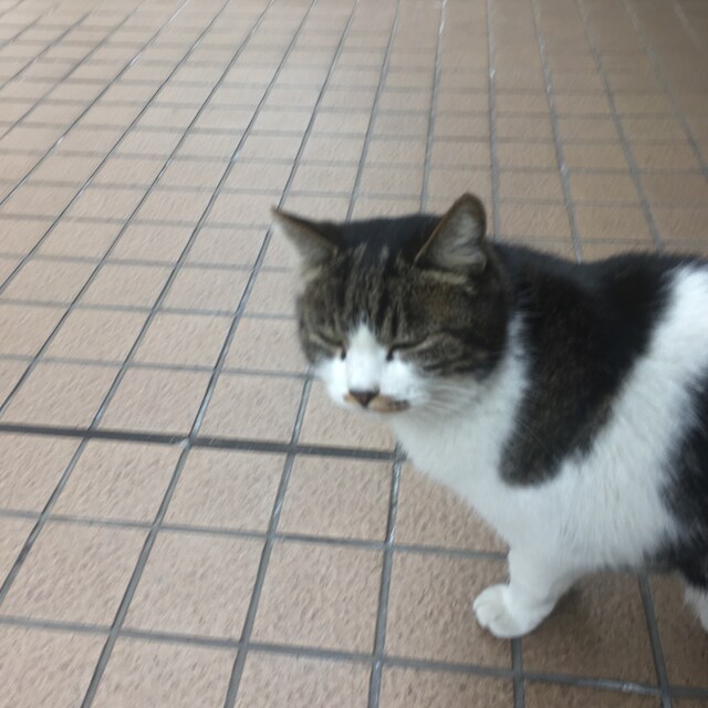 みなと