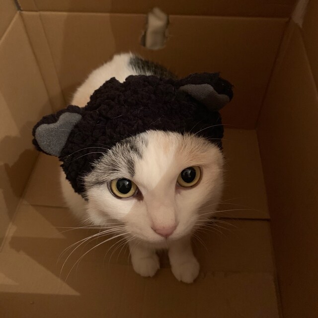 ゆう