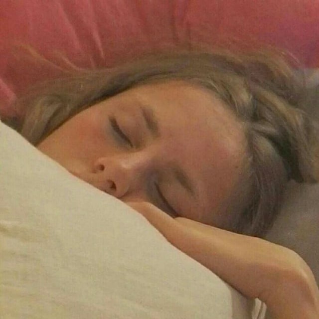 知更林子