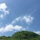 しゅうのアイコン