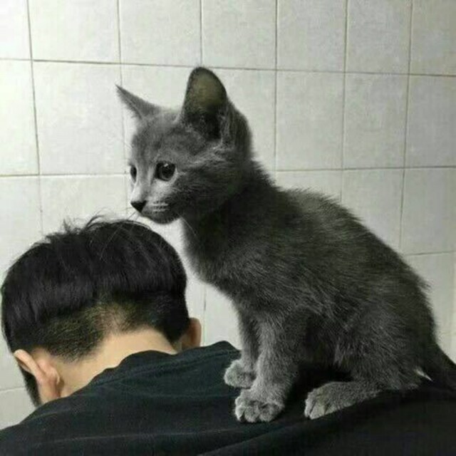 痴极_嗔极_