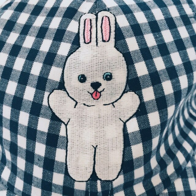nao